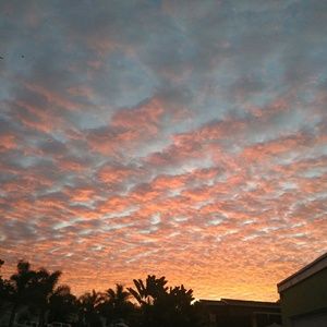 Meet your Posher, Alexia